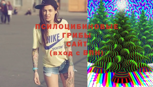Альфа ПВП Вязники